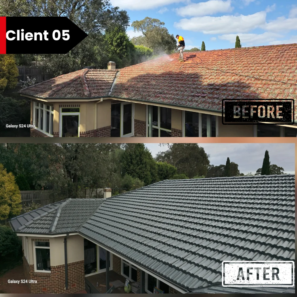 Roof Painting Service Project