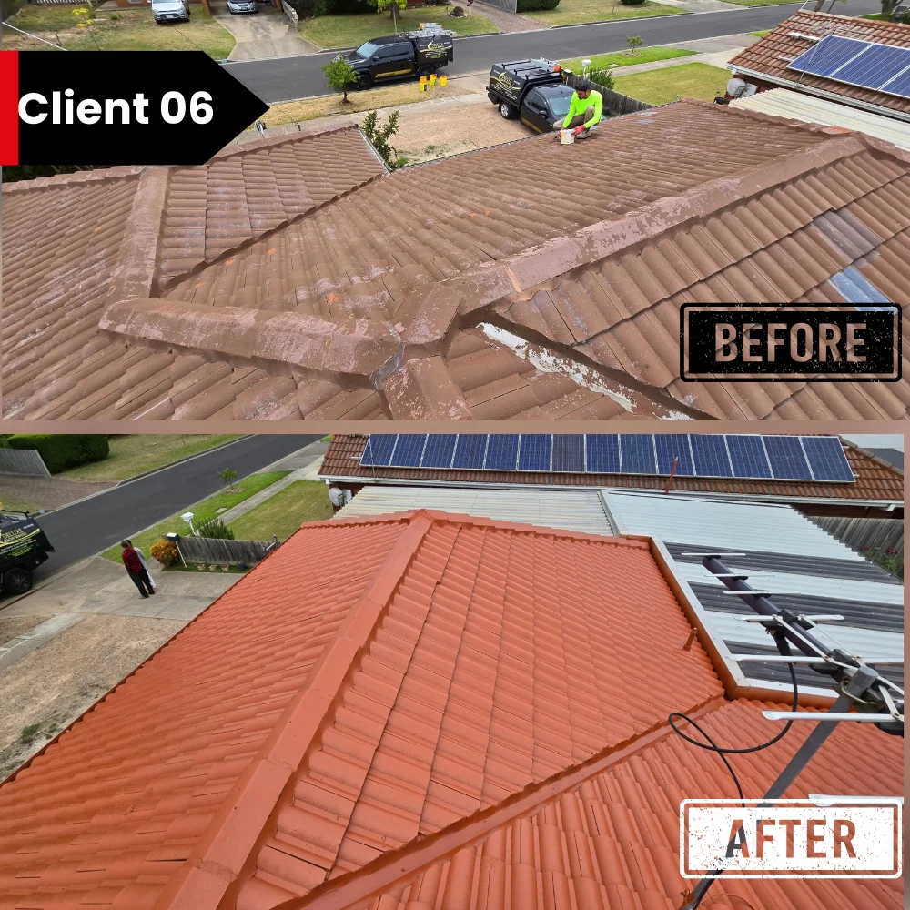 Roof Painting Service in Melbourne